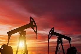 Oil
